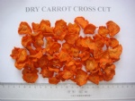 dried carrot cross cut