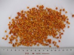dried pumpkin dices:5x5x5mm
